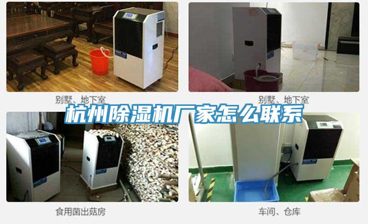 杭州PICACG哔咔官网入口廠家怎麽聯係