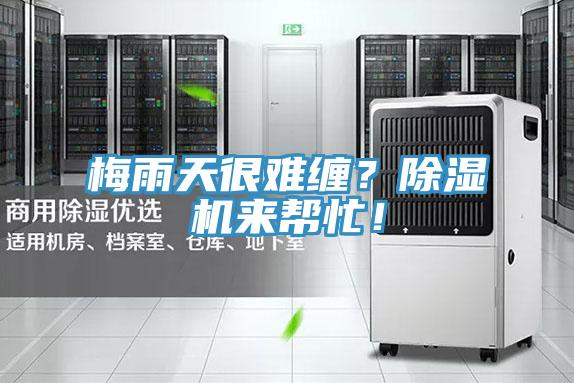 梅雨天很難纏？PICACG哔咔官网入口來幫忙！