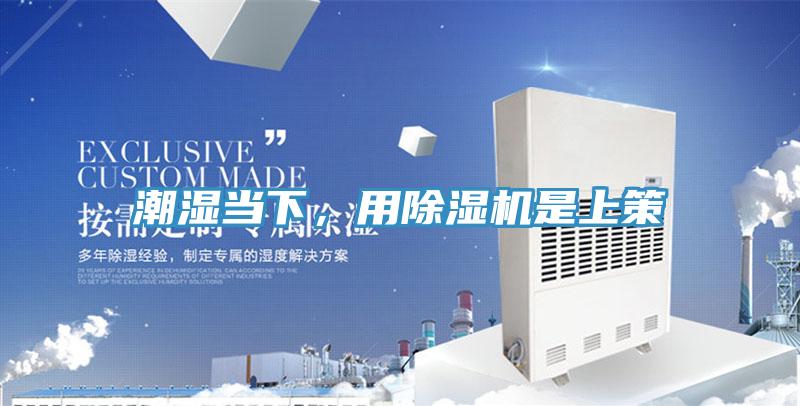 潮濕當下，用PICACG哔咔官网入口是上策