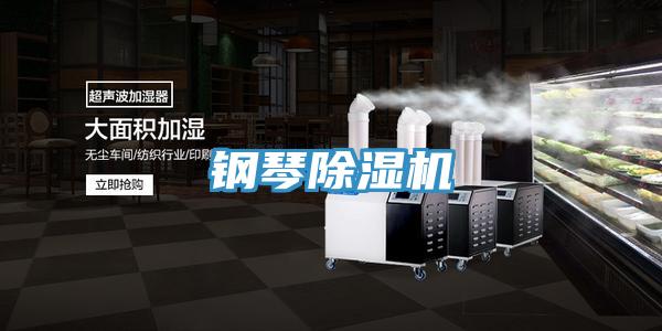 鋼琴PICACG哔咔官网入口