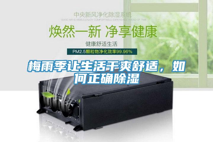 梅雨季讓生活幹爽舒適，如何正確除濕