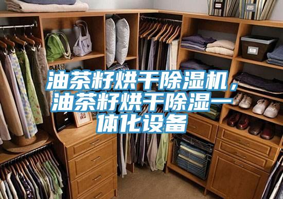 油茶籽烘幹PICACG哔咔官网入口，油茶籽烘幹除濕一體化設備