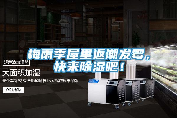 梅雨季屋裏返潮發黴，快來除濕吧！