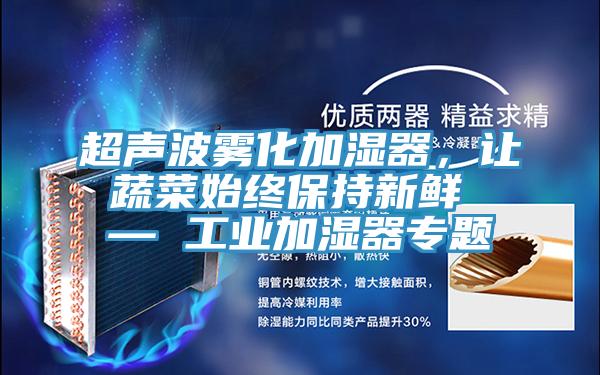 超聲波霧化加濕器，讓蔬菜始終保持新鮮 — 工業加濕器專題