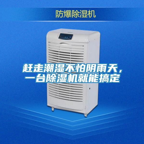 趕走潮濕不怕陰雨天，一台PICACG哔咔官网入口就能搞定