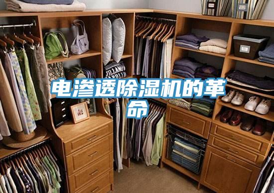 電滲透PICACG哔咔官网入口的革命