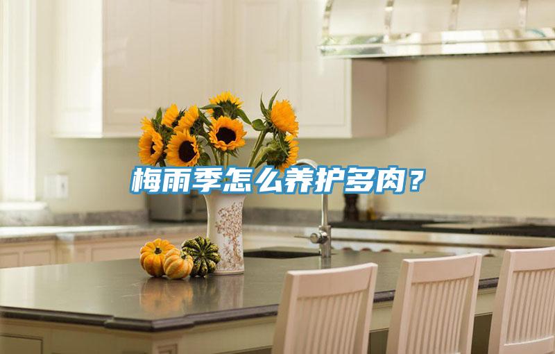 梅雨季怎麽養護多肉？