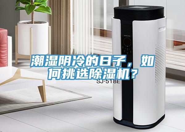 潮濕陰冷的日子，如何挑選PICACG哔咔官网入口？