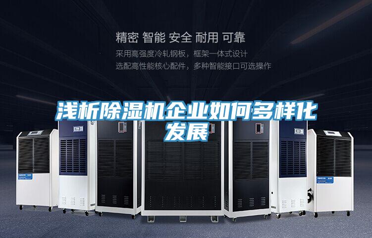 淺析PICACG哔咔官网入口企業如何多樣化發展