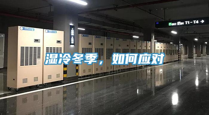 濕冷冬季，如何應對