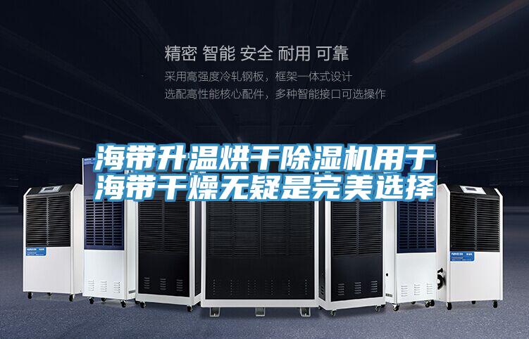 海帶升溫烘幹PICACG哔咔官网入口用於海帶幹燥無疑是完美選擇