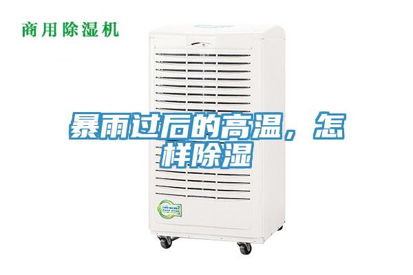 暴雨過後的高溫，怎樣除濕