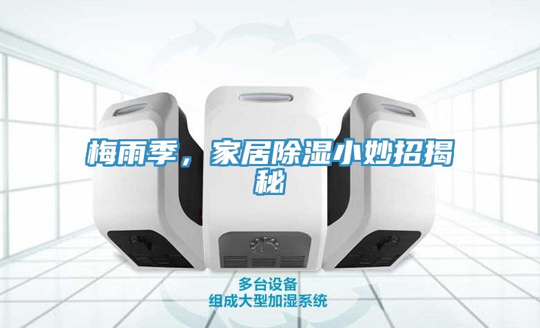 梅雨季，家居除濕小妙招揭秘
