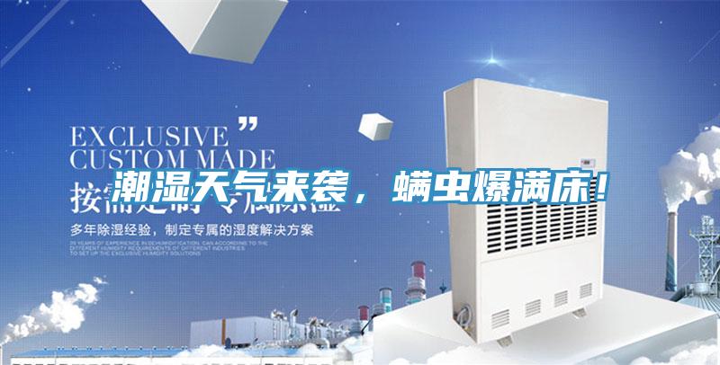 潮濕天氣來襲，蟎蟲爆滿床！