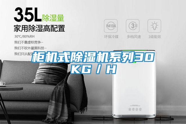 櫃機式PICACG哔咔官网入口係列30KG／H