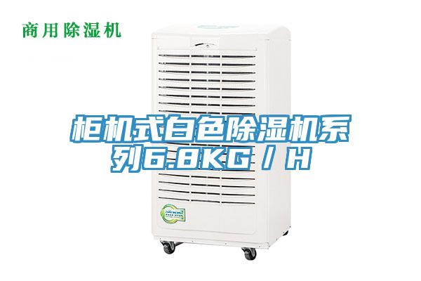 櫃機式白色PICACG哔咔官网入口係列6.8KG／H