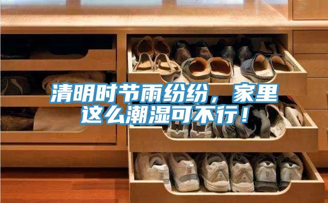 清明時節雨紛紛，家裏這麽潮濕可不行！