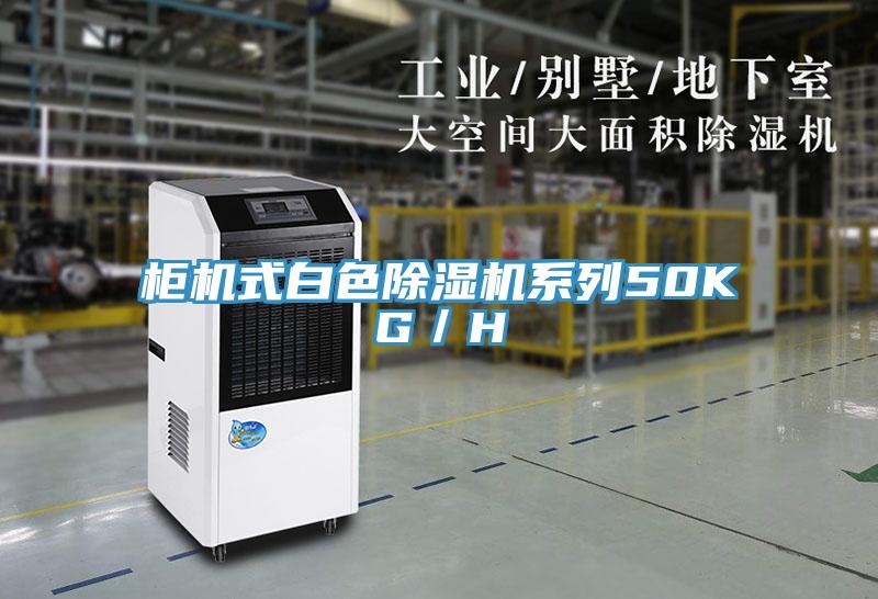 櫃機式白色PICACG哔咔官网入口係列50KG／H