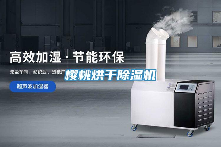 櫻桃烘幹PICACG哔咔官网入口