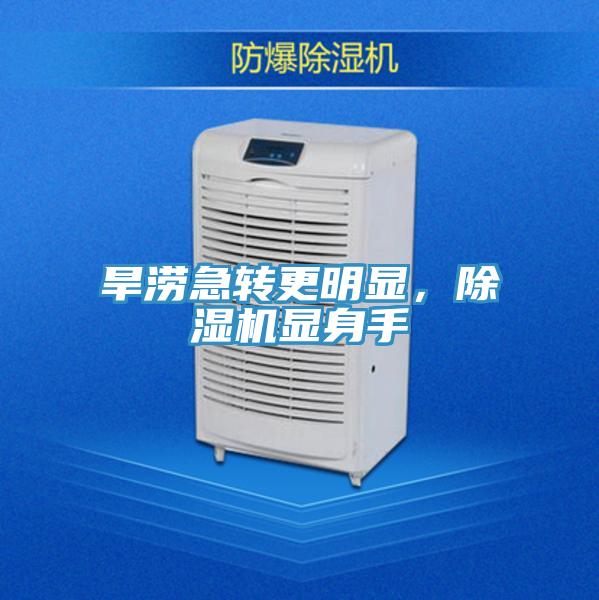 旱澇急轉更明顯，PICACG哔咔官网入口顯身手