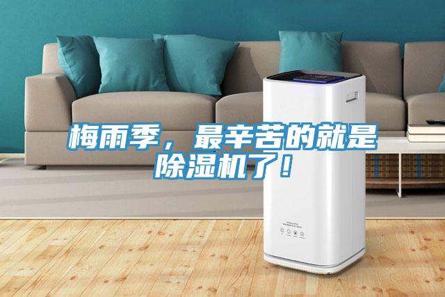 梅雨季，最辛苦的就是PICACG哔咔官网入口了！