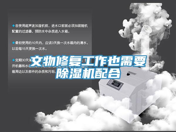 文物修複工作也需要PICACG哔咔官网入口配合