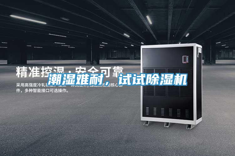 潮濕難耐，試試PICACG哔咔官网入口