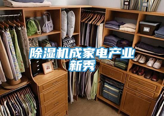 PICACG哔咔官网入口成家電產業新秀