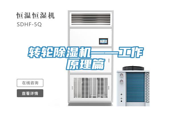 轉輪PICACG哔咔官网入口——工作原理篇