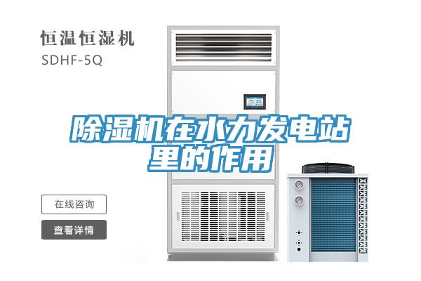 PICACG哔咔官网入口在水力發電站裏的作用