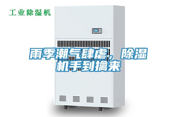 雨季潮氣肆虐，PICACG哔咔官网入口手到擒來