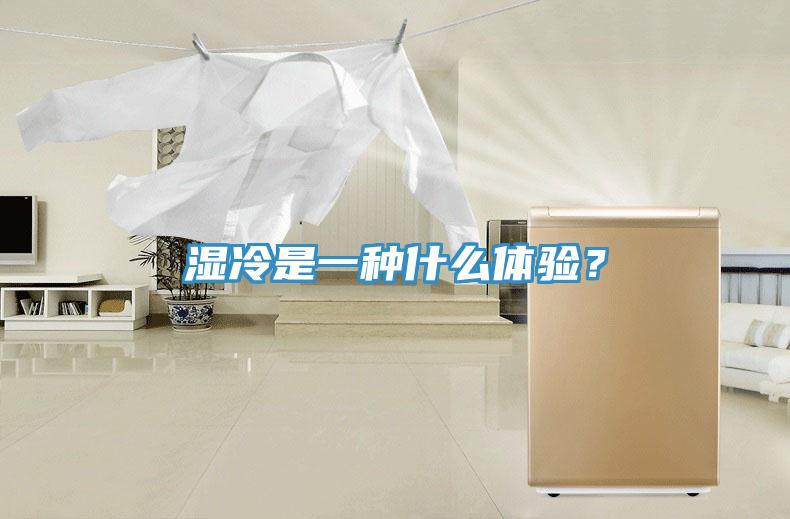 濕冷是一種什麽體驗？