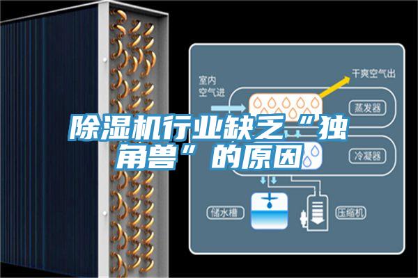 PICACG哔咔官网入口行業缺乏“獨角獸”的原因