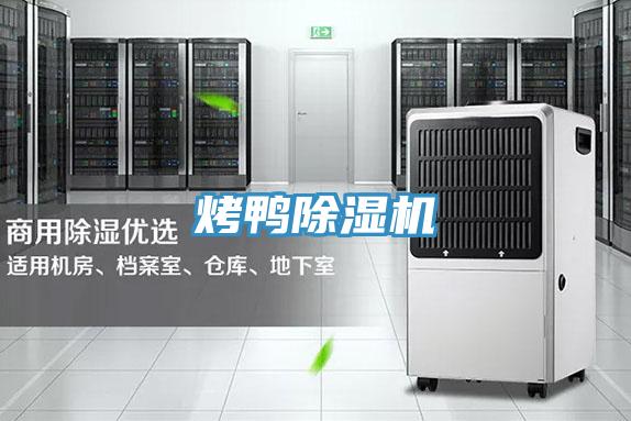 烤鴨PICACG哔咔官网入口