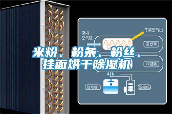 米粉、粉條、粉絲、掛麵烘幹PICACG哔咔官网入口