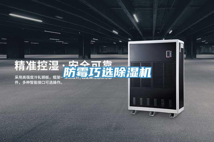 防黴巧選PICACG哔咔官网入口