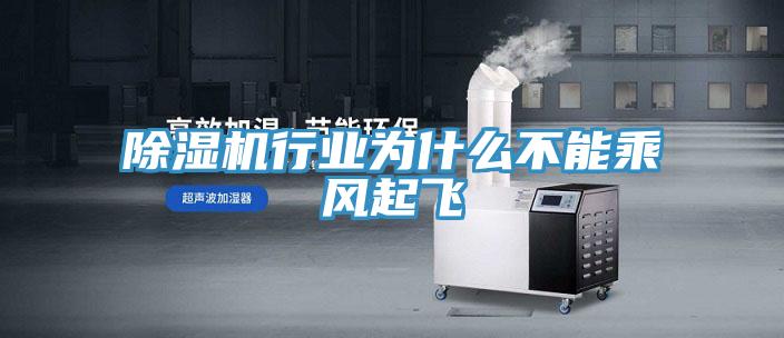 PICACG哔咔官网入口行業為什麽不能乘風起飛