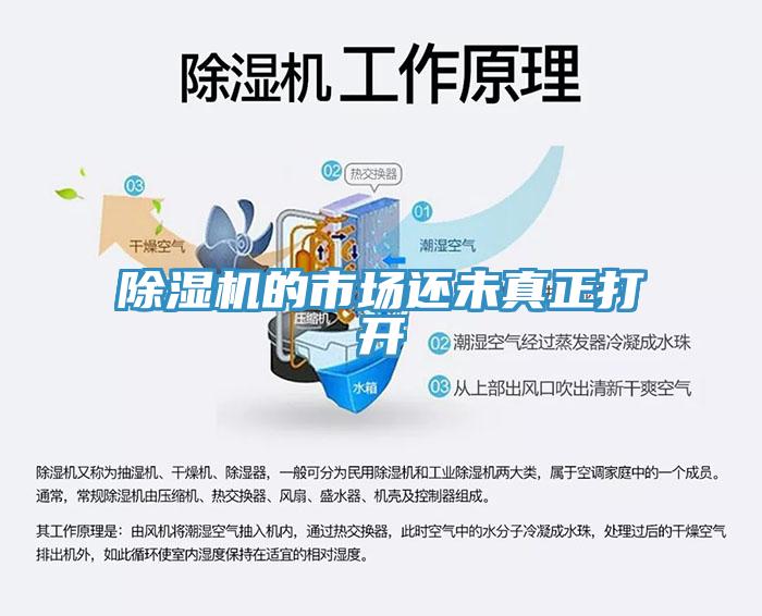 PICACG哔咔官网入口的市場還未真正打開