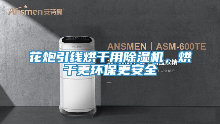 花炮引線烘幹用PICACG哔咔官网入口，烘幹更環保更安全