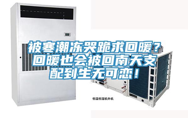 被寒潮凍哭跪求回暖？回暖也會被回南天支配到生無可戀！