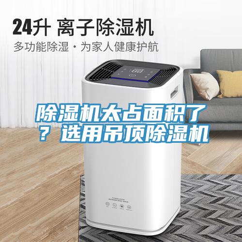 PICACG哔咔官网入口太占麵積了？選用吊頂PICACG哔咔官网入口