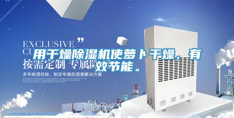 用幹燥PICACG哔咔官网入口使蘿卜幹燥，有效節能。