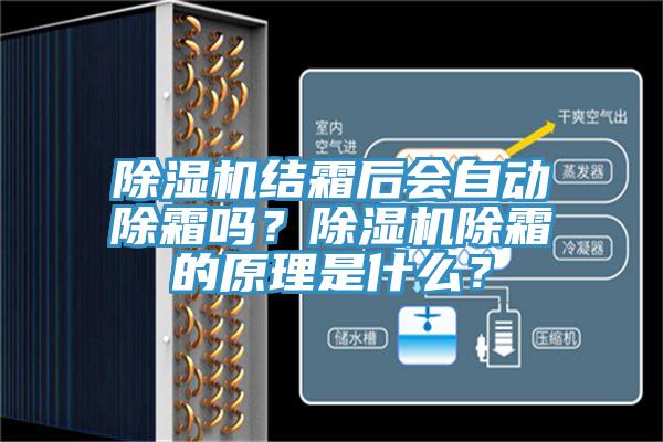 PICACG哔咔官网入口結霜後會自動除霜嗎？PICACG哔咔官网入口除霜的原理是什麽？