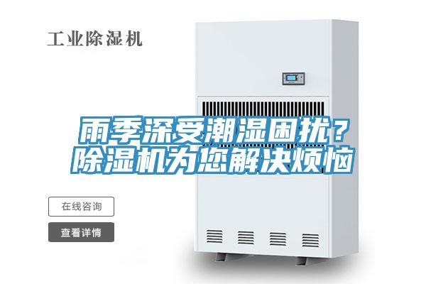 雨季深受潮濕困擾？PICACG哔咔官网入口為您解決煩惱