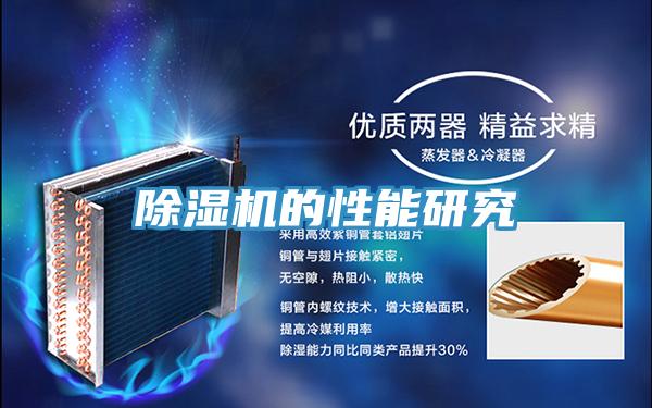 PICACG哔咔官网入口的性能研究