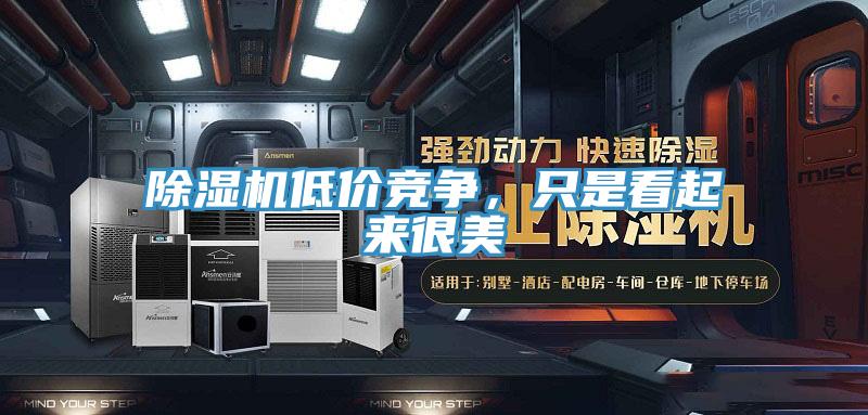 PICACG哔咔官网入口低價競爭，隻是看起來很美