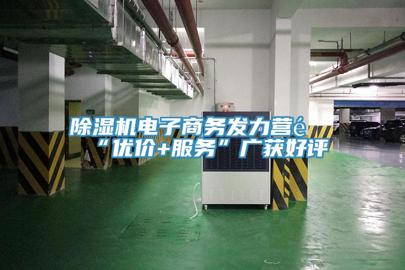 PICACG哔咔官网入口電子商務發力營銷“優價+服務”廣獲好評