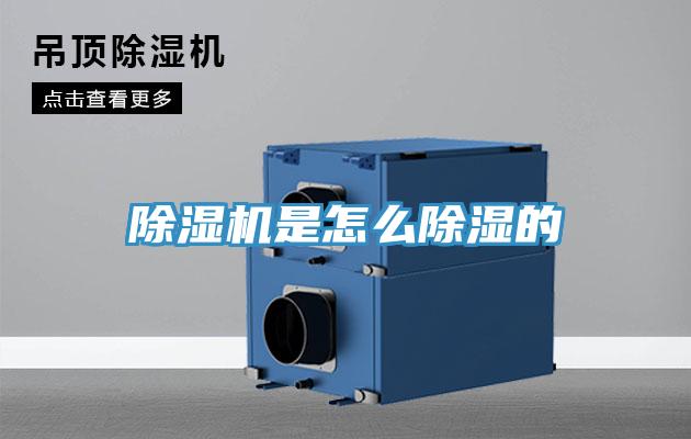 PICACG哔咔官网入口是怎麽除濕的