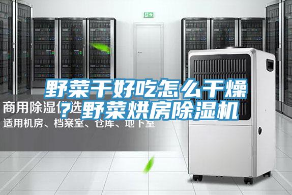 野菜幹好吃怎麽幹燥？野菜烘房PICACG哔咔官网入口