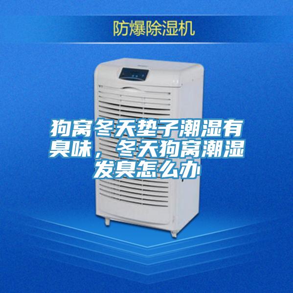狗窩冬天墊子潮濕有臭味，冬天狗窩潮濕發臭怎麽辦